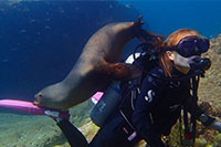 Scuba Diving Cabo San Lucas